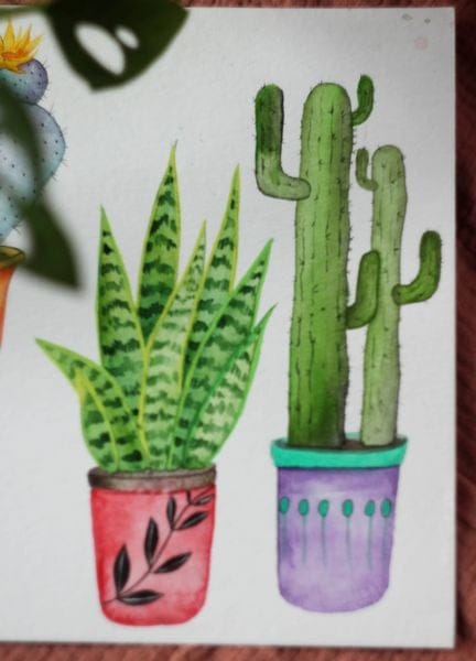 my cacti - image 4 - student project