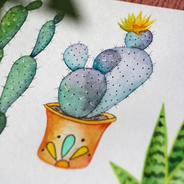 my cacti - image 3 - student project