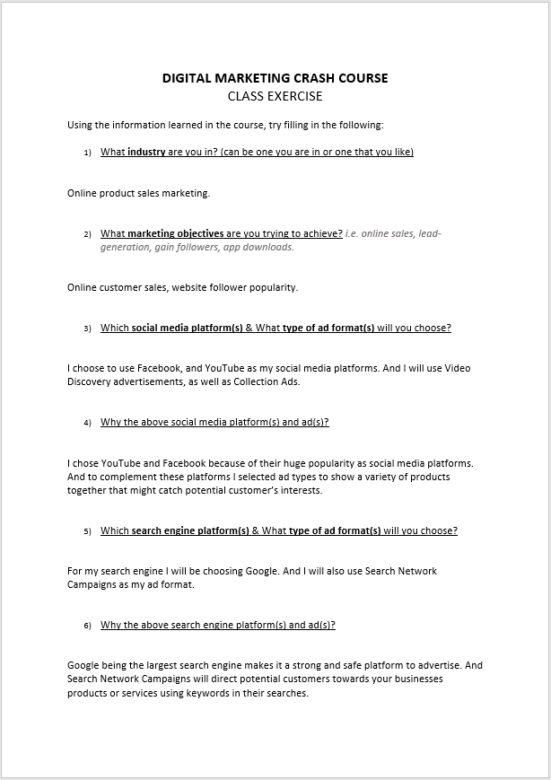 CL - Marketing Course Project - image 1 - student project