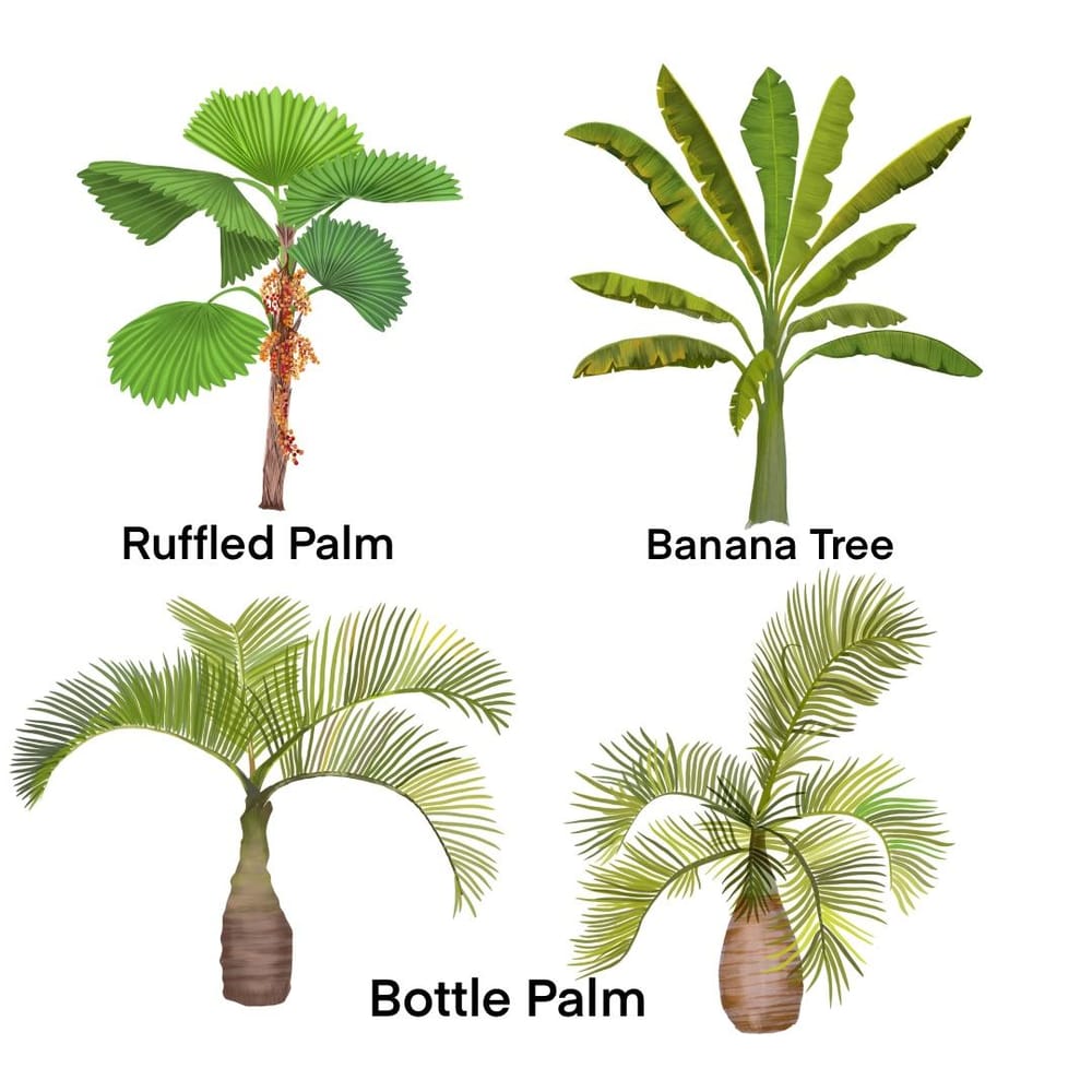 My Palm trees - image 1 - student project