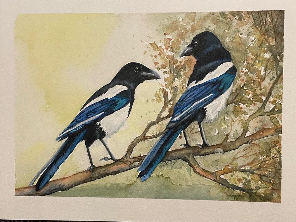 Magpies in watercolor - image 3 - student project