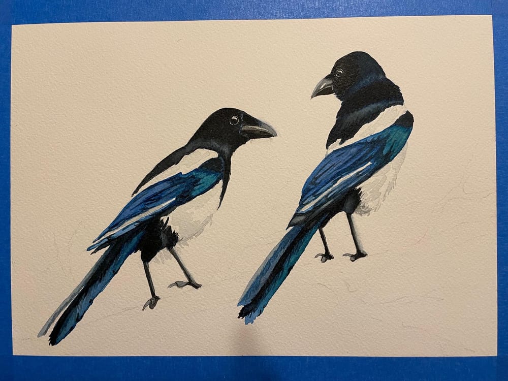Magpies in watercolor - image 2 - student project
