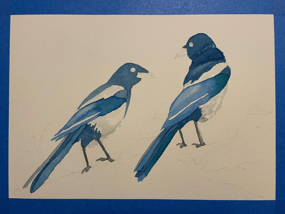Magpies in watercolor - image 1 - student project