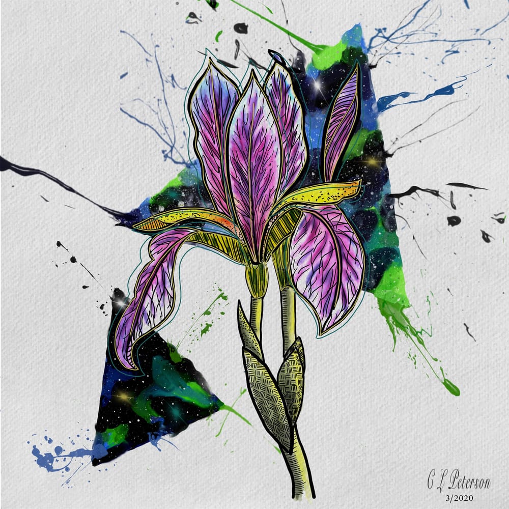 Watercolor Iris galaxy - on ipad - image 1 - student project