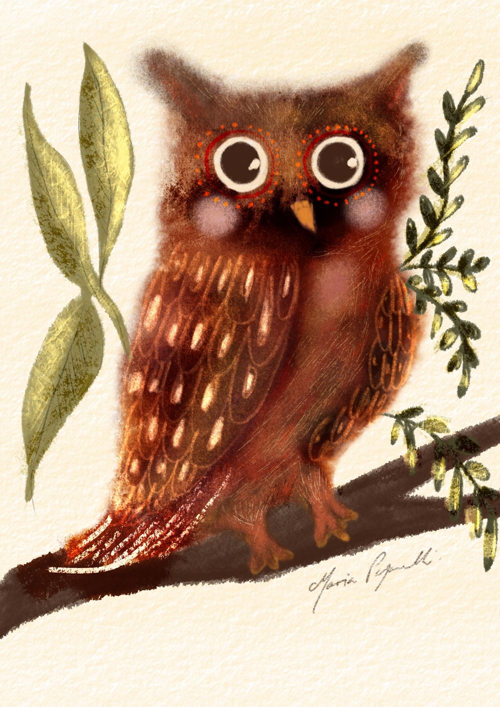 Watercolour Procreate Owl - image 2 - student project