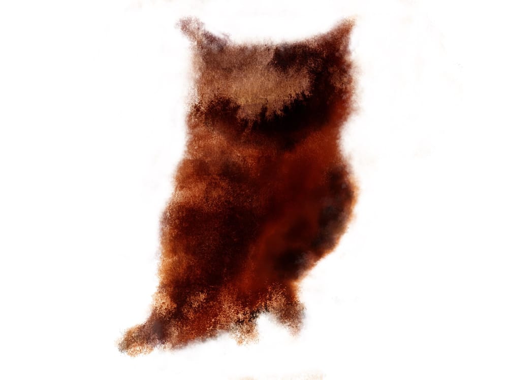 Watercolour Procreate Owl - image 1 - student project