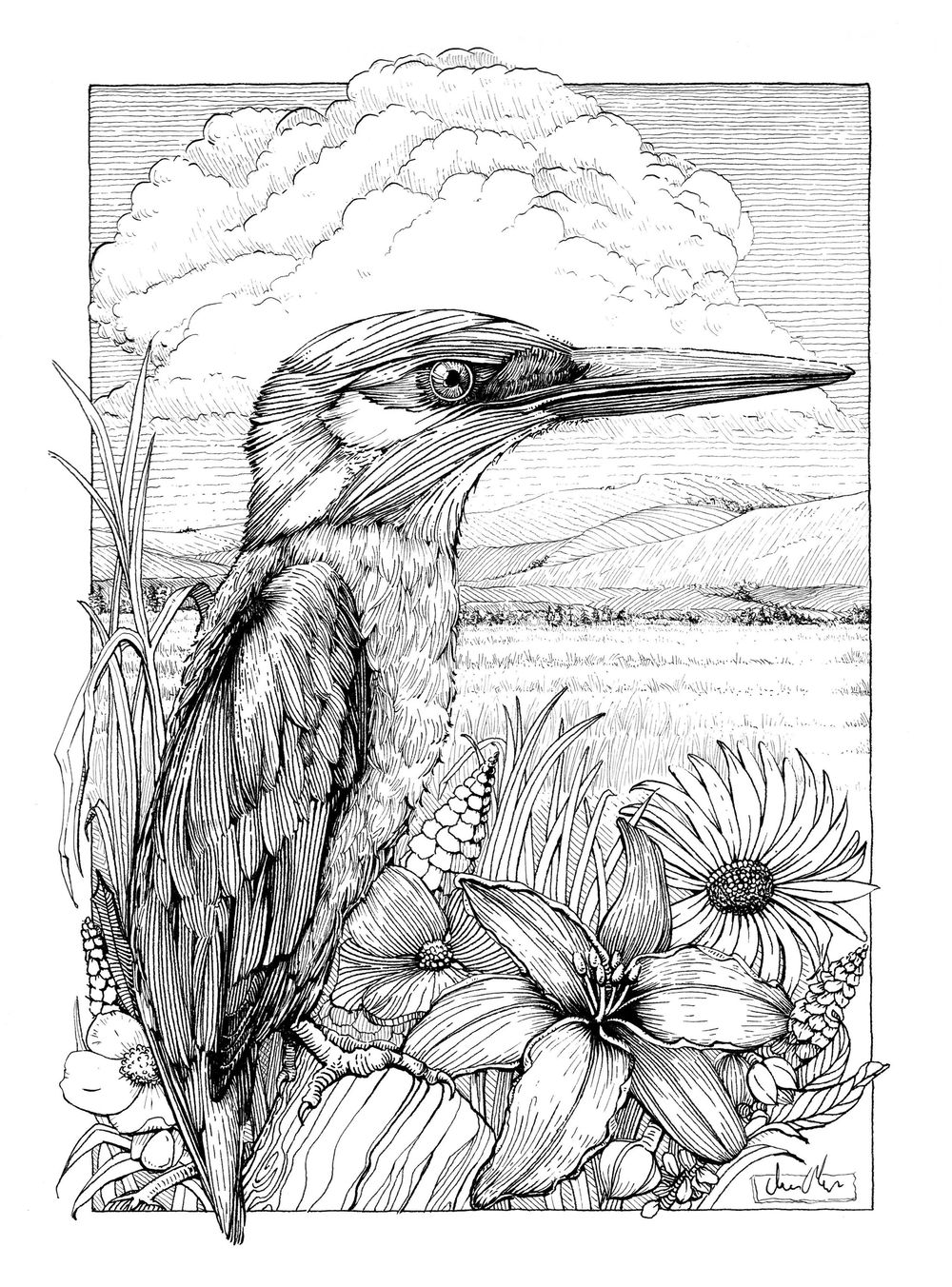 Dip Pens and Ink Realistic Drawing Project - image 1 - student project