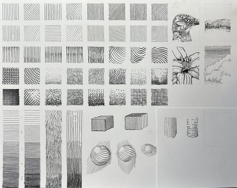 Dip Pens and Ink Realistic Drawing Project - image 2 - student project