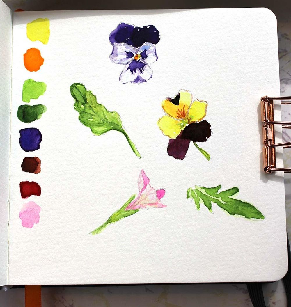 Botanical Sketchbook Project - image 3 - student project