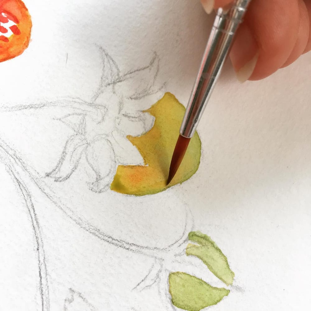 Strawberry Watercolor Painting - image 4 - student project
