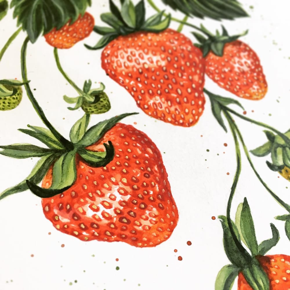 Strawberry Watercolor Painting - image 5 - student project