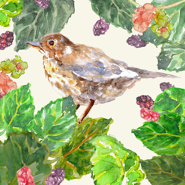 A Bird in Mulberry Lane - image 1 - student project