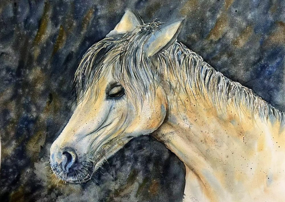 Horse - image 1 - student project