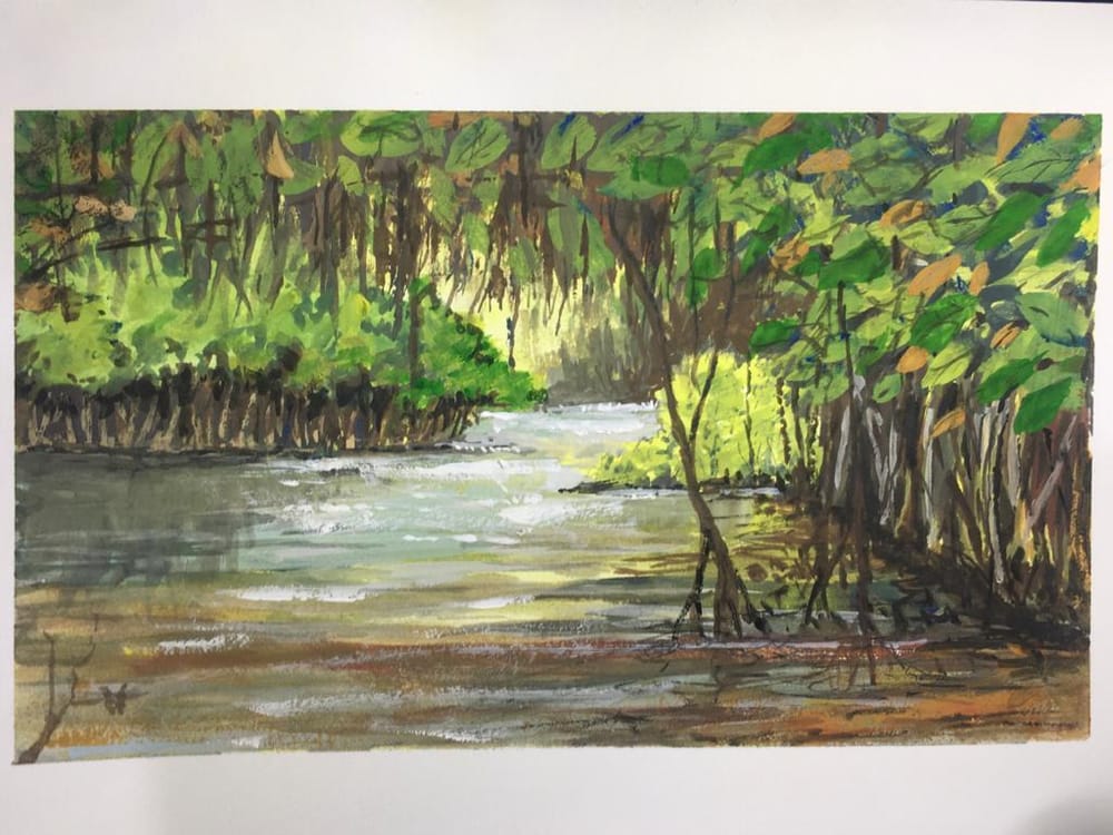 Mangrove forest in India - image 1 - student project