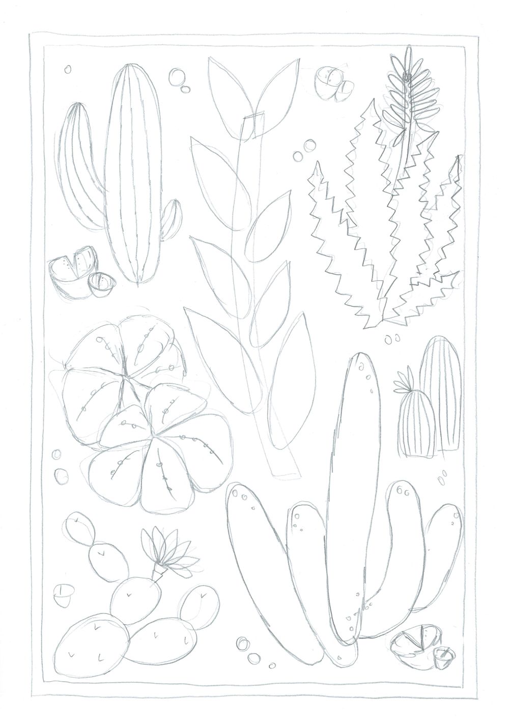 Blooming Cactus Composition - image 2 - student project