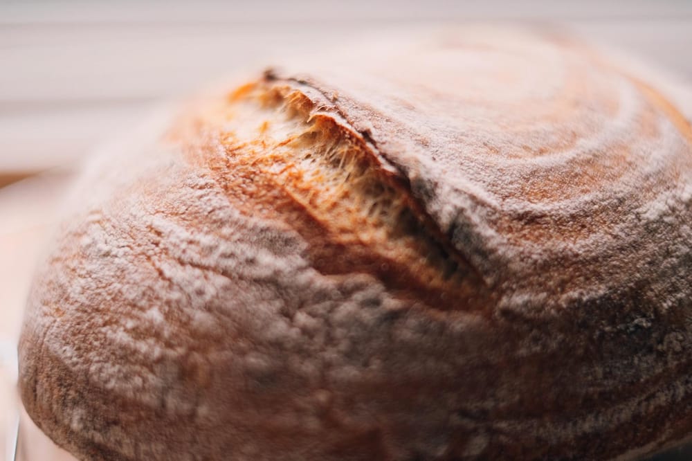 Sourdough bread - image 4 - student project