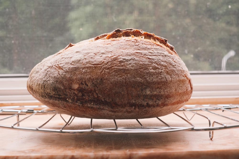 Sourdough bread - image 3 - student project