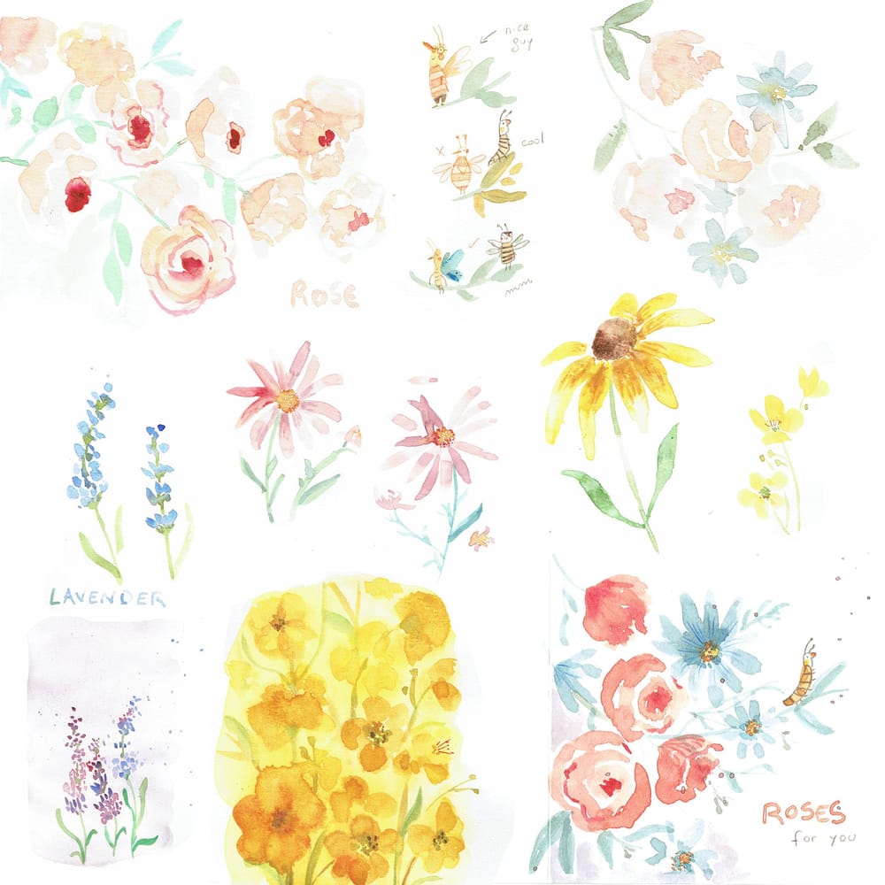 Rose and Aster - image 2 - student project