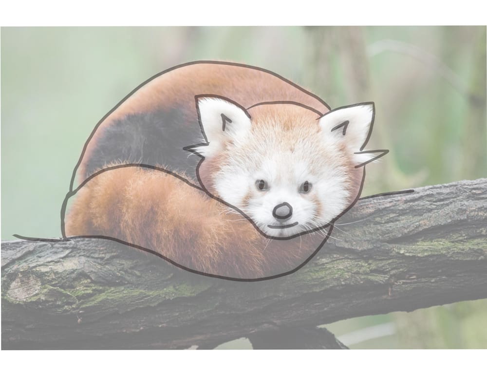 Snix - image 1 - student project