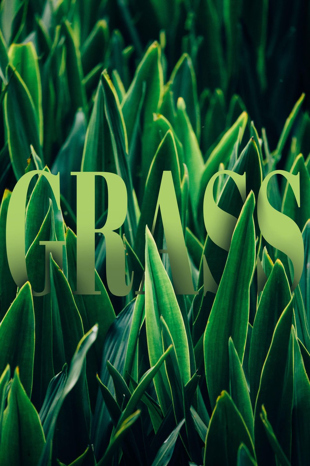 Learning Photoshop - image 10 - student project