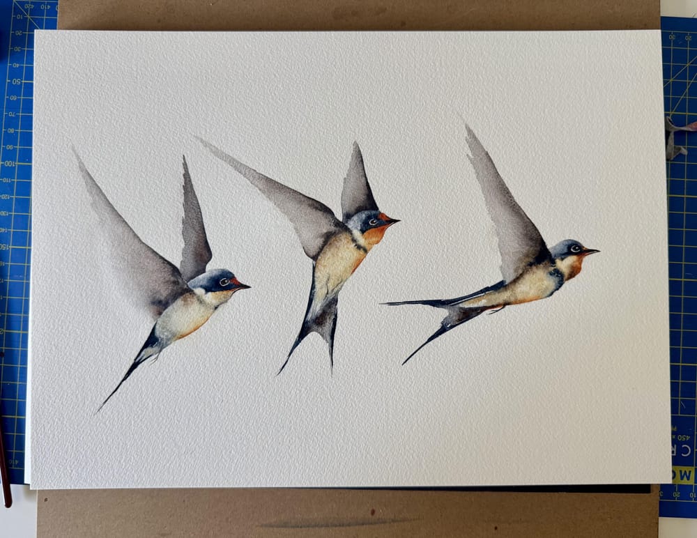 Flighty Swallows - image 1 - student project