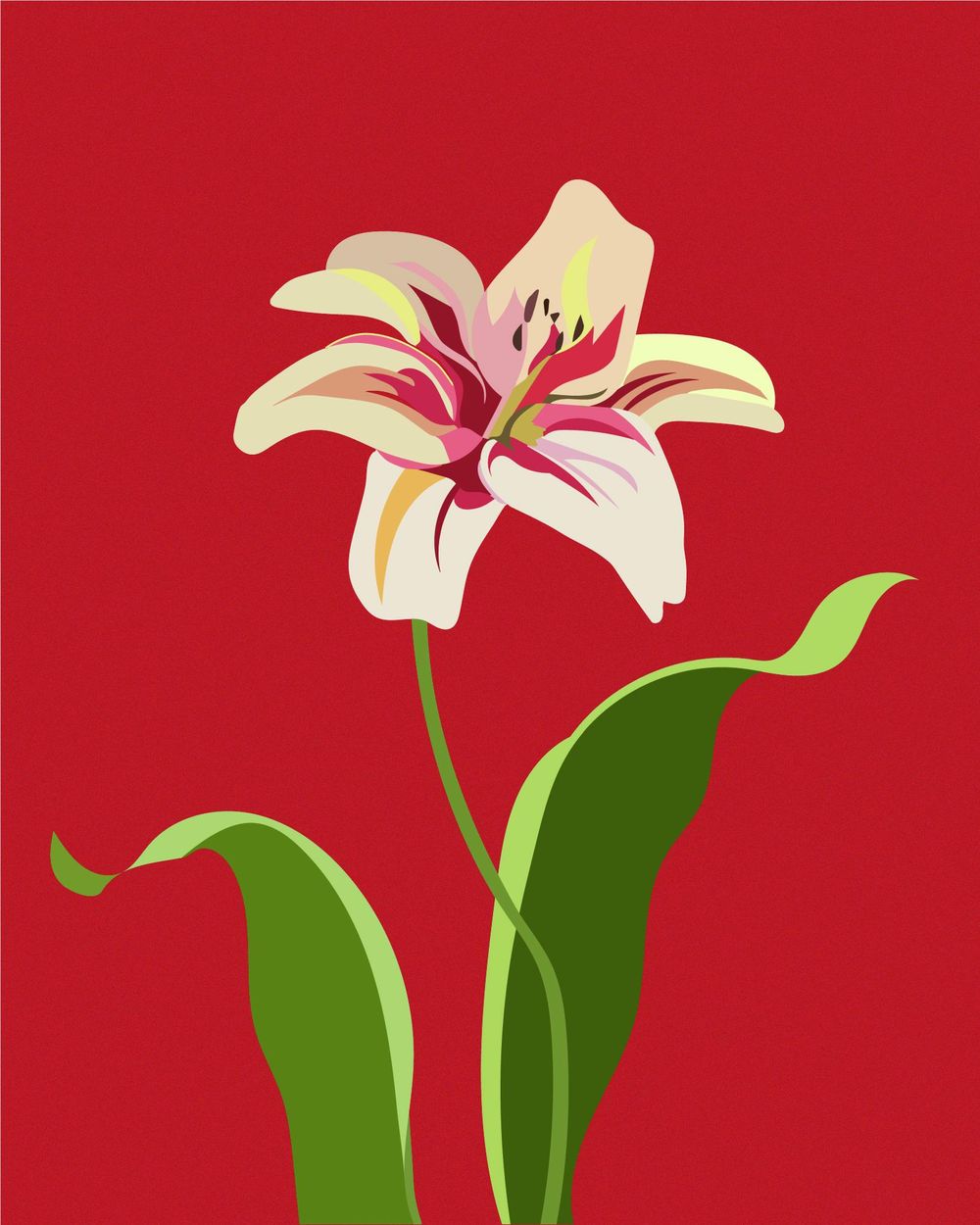 A Lily. - image 1 - student project