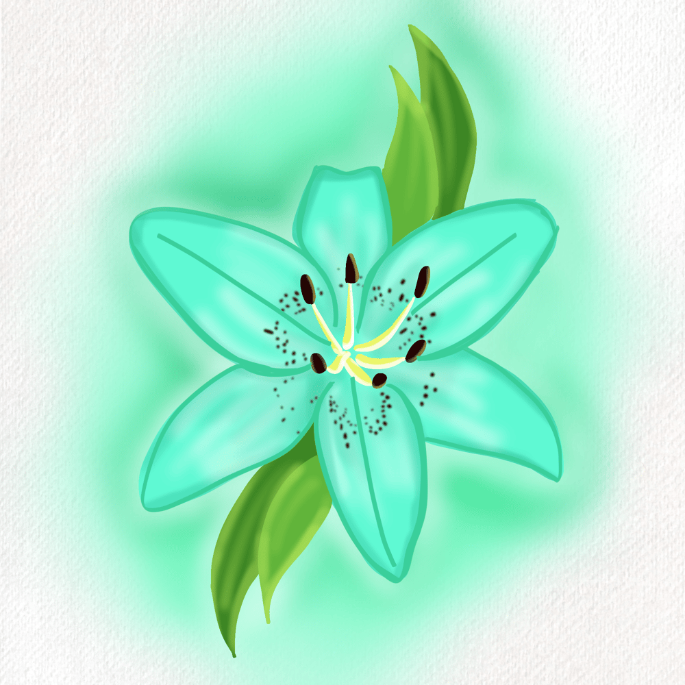 My Lily - image 1 - student project