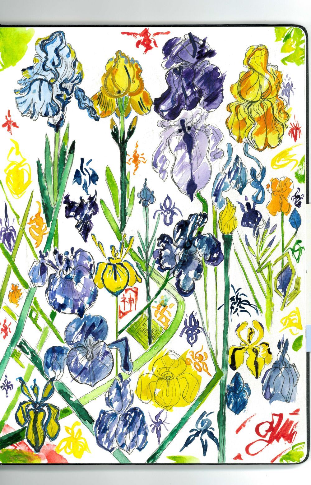 Iris Garden/ Beatriz Barrett's Watercolour Flower Painting Class ! - image 1 - student project