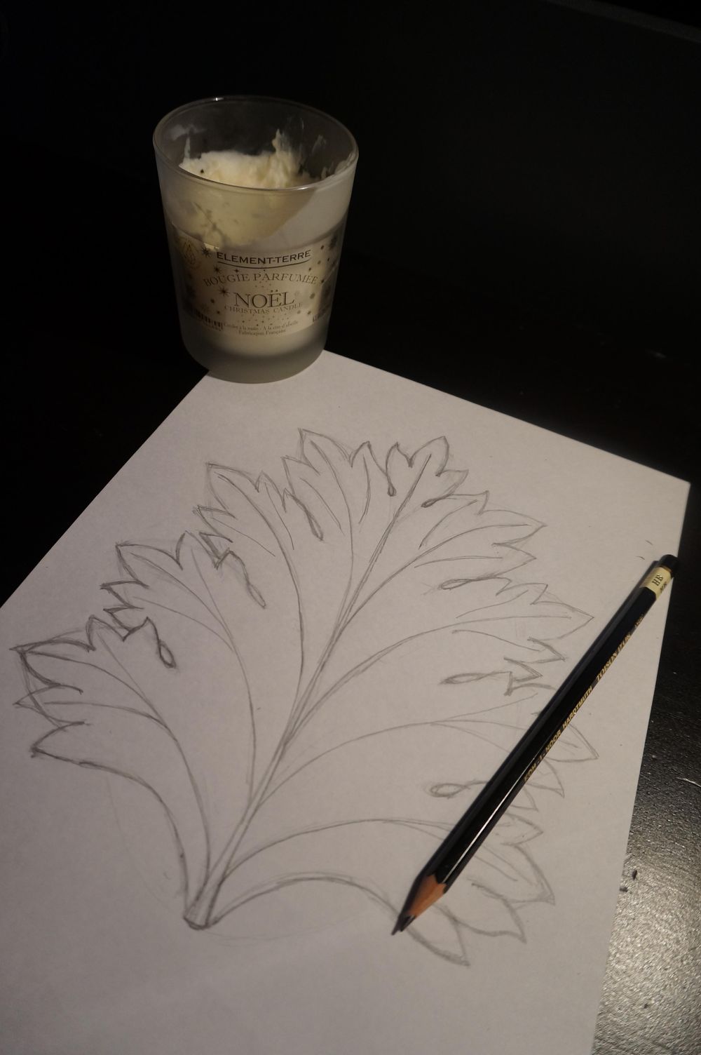 Drawing the Acanthus - image 1 - student project
