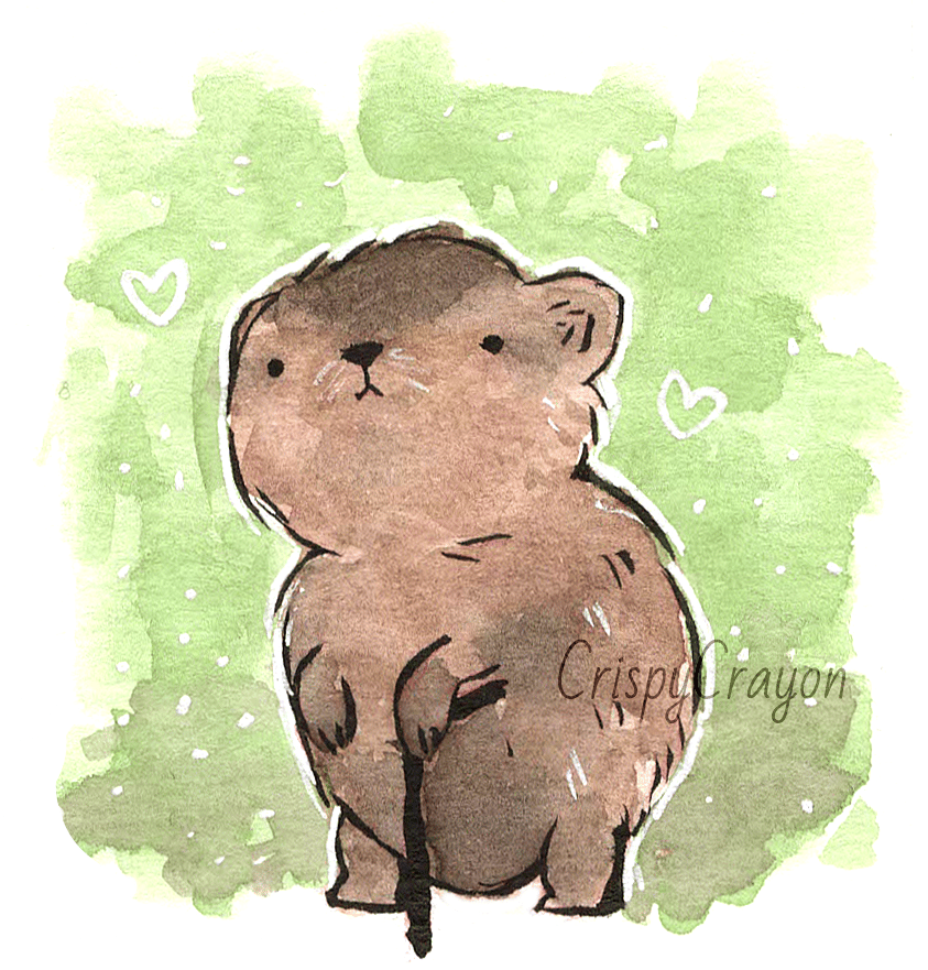 Ferret & Muskrat - image 2 - student project