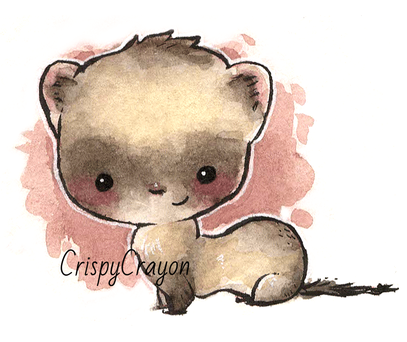 Ferret & Muskrat - image 1 - student project