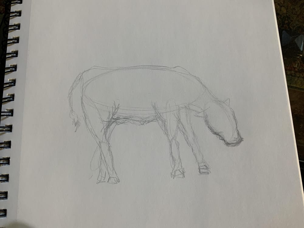 First Drawing Class | Skillshare Student Project