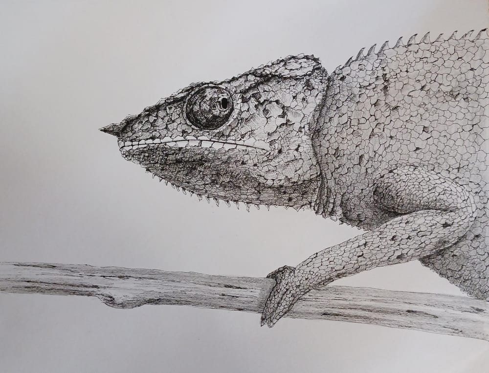 Three animals - image 1 - student project