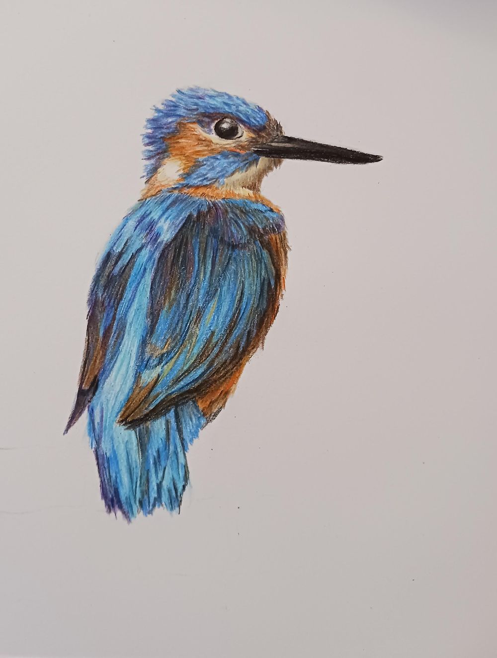 Three animals - image 2 - student project