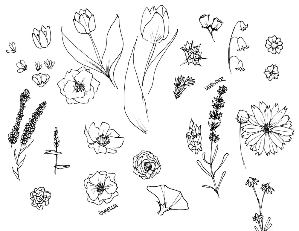 Hype About Hydrangeas - image 2 - student project
