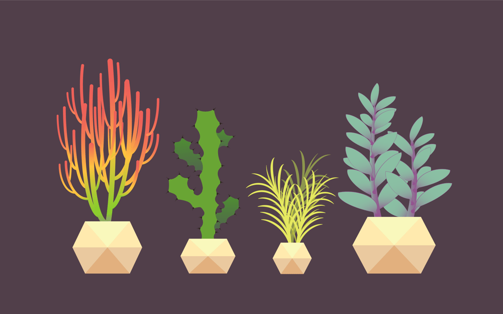Penless Cacti and Succulents! - image 4 - student project