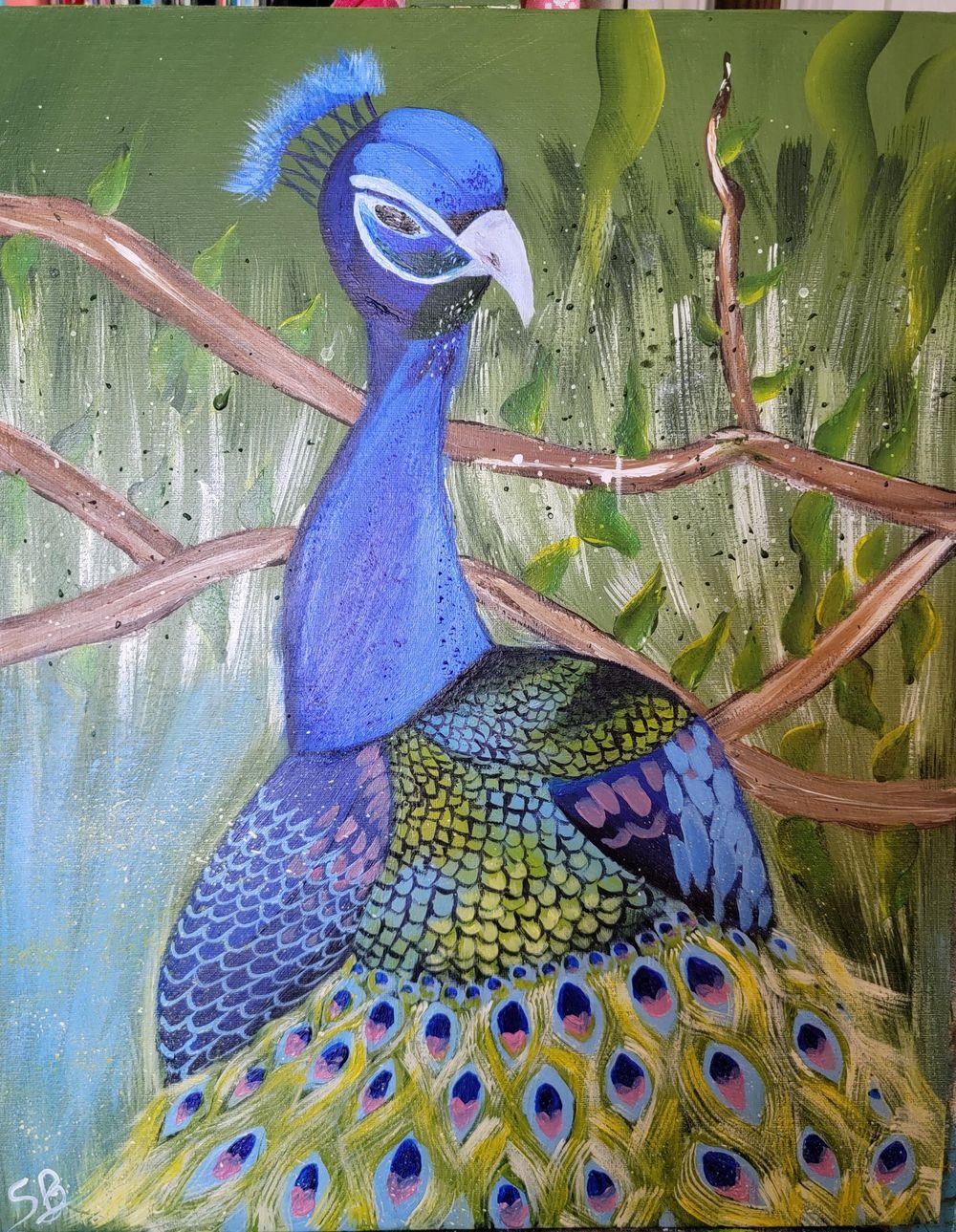 Peacock Skillshare Student Project