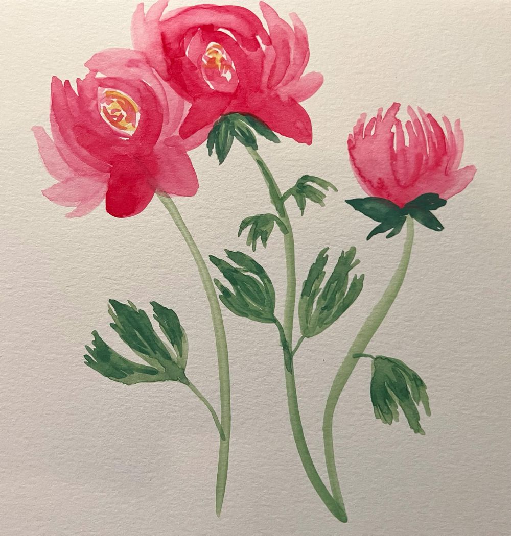 Peonies - image 1 - student project