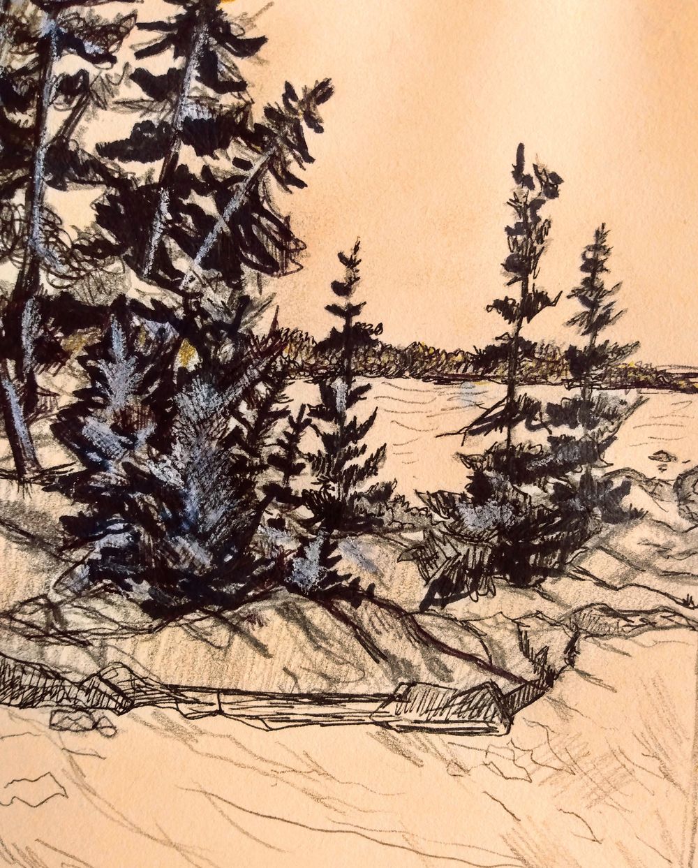 Komoka Provincial Park (study) - image 3 - student project