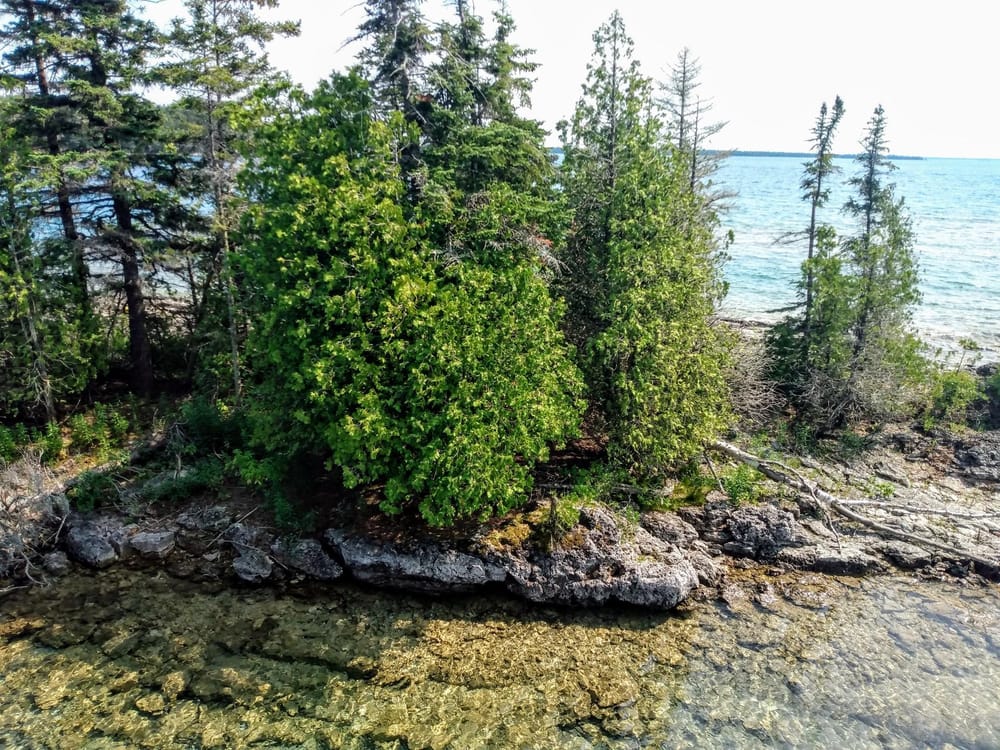 Komoka Provincial Park (study) - image 5 - student project