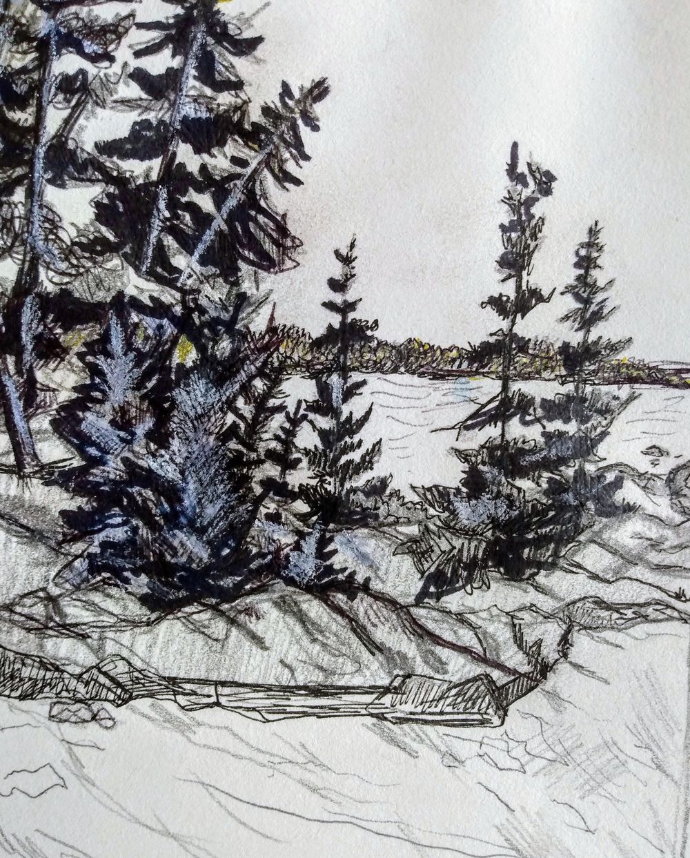 Komoka Provincial Park (study) - image 4 - student project