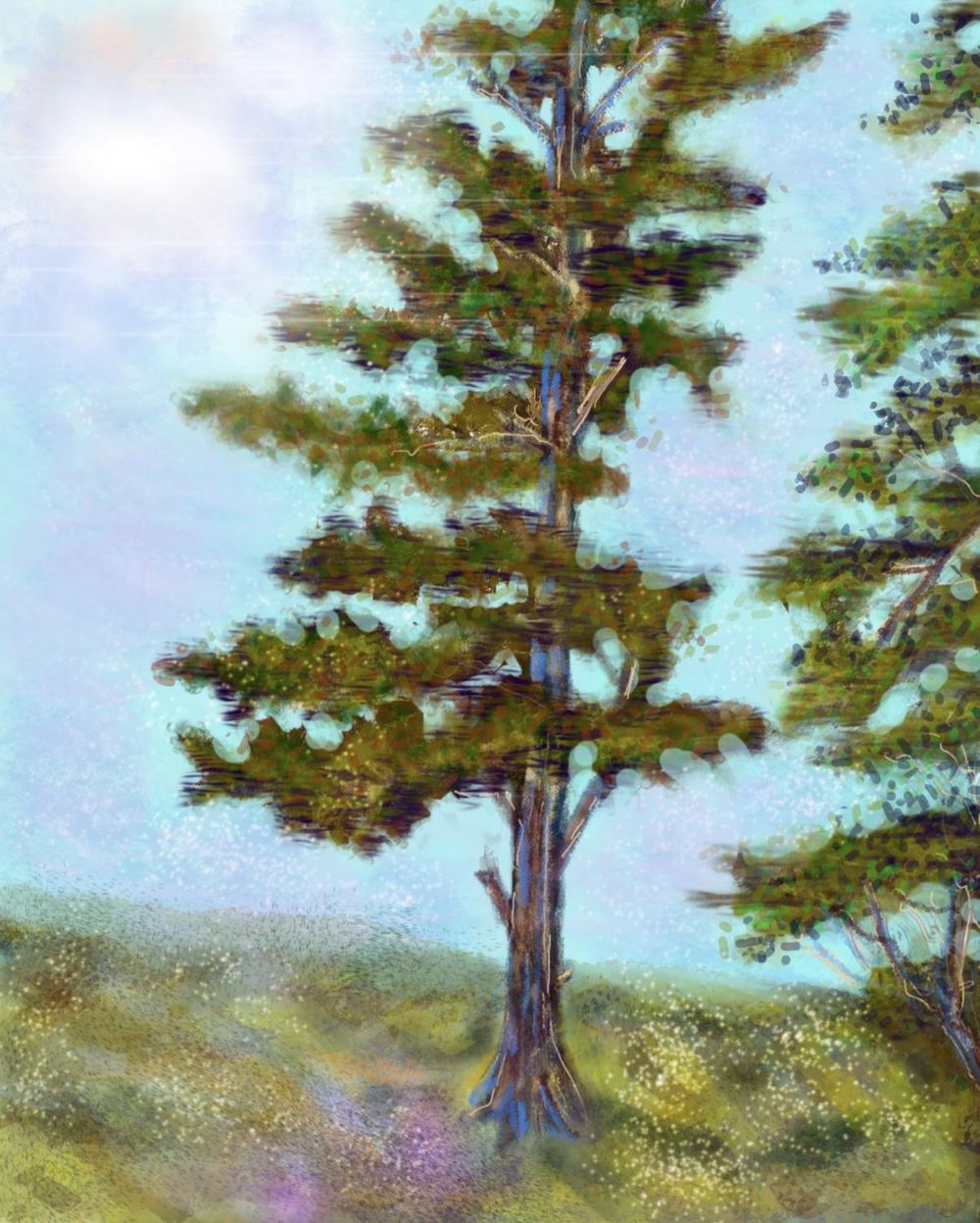 Winter vs. spring - image 3 - student project