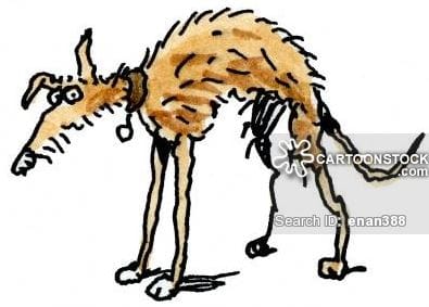 Dog - image 2 - student project