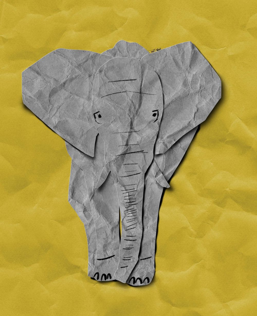 Paper Elephant Skillshare Student Project