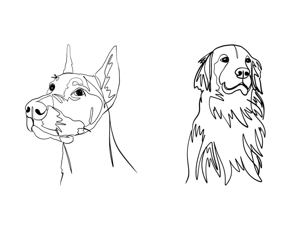 ONE-LINE DRAWING - image 1 - student project