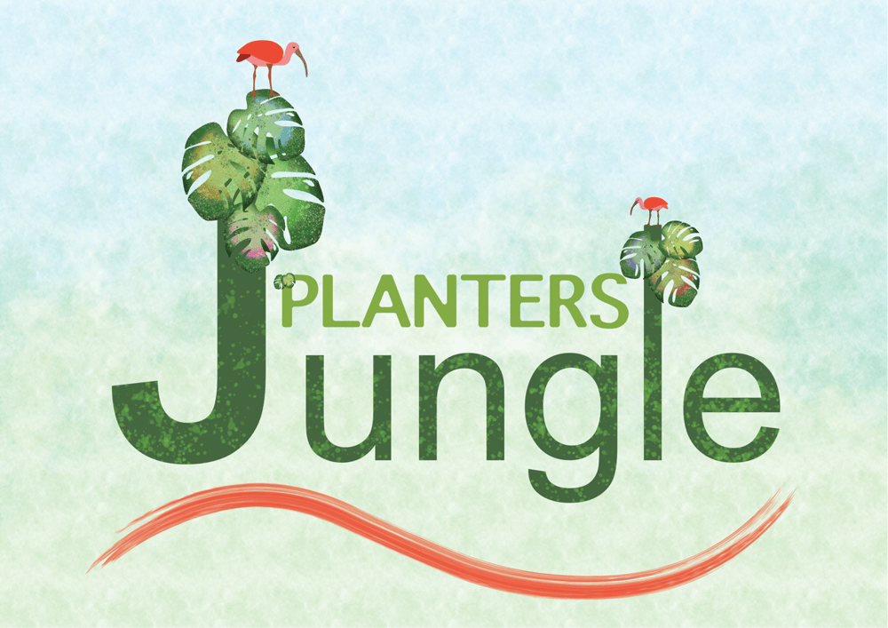 Jungle - image 1 - student project