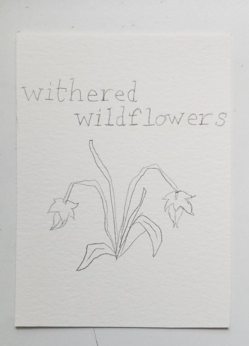 Withered Wildflowers - image 1 - student project