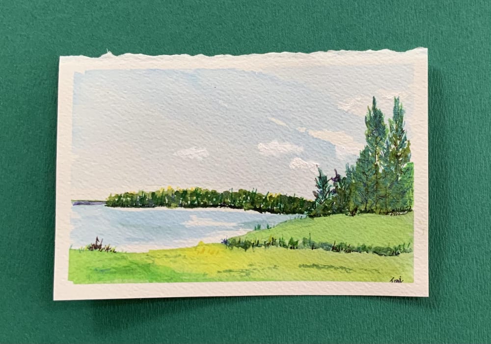 Our Bay - image 1 - student project