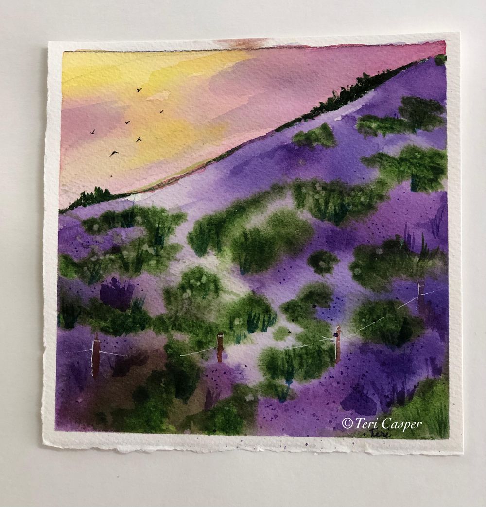 Fifth Project-Lavender Fields - image 1 - student project