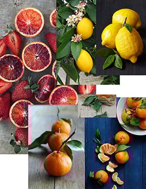 Citrus (mostly!) Fruit Pattern - image 1 - student project